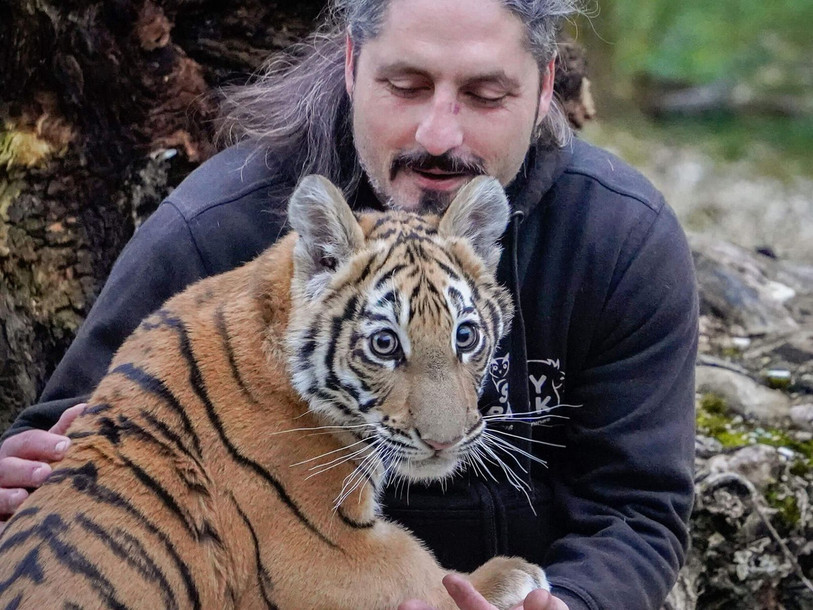 Agée de quatre mois et demi, Sangha s'habitue doucement à son nouvel environnement. 