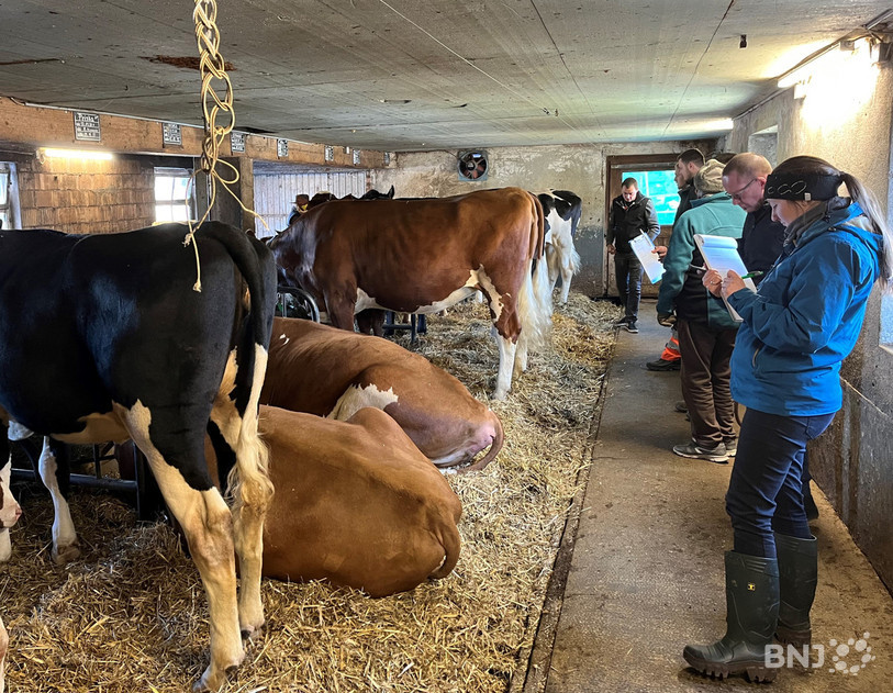 Le jury était de passage samedi matin dans l'exploitation agricole de Joé Cattin, aux Bois. 