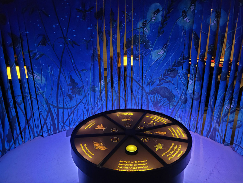 Le monde mystérieux des insectes nocturnes est à découvrir au Centre Nature Les Cerlatez. (Photo : Centre Nature Les Cerlatez)