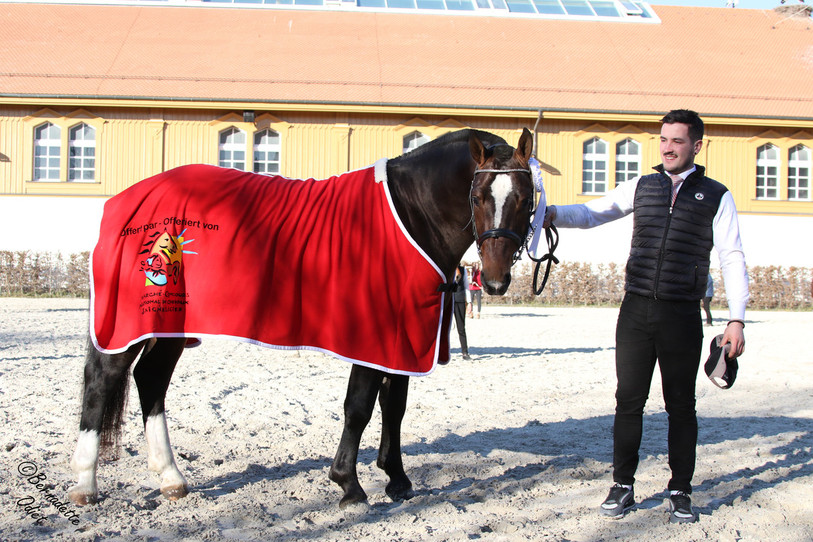 Elyo de la Ravière avec Xavier Juillard. (Photo : Bernadette Odiet)