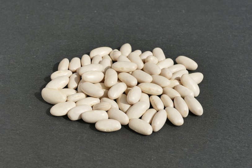 haricots blancs