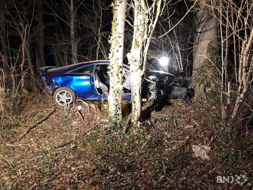 La voiture a terminé sa course à quelques centimètres d'un arbre.