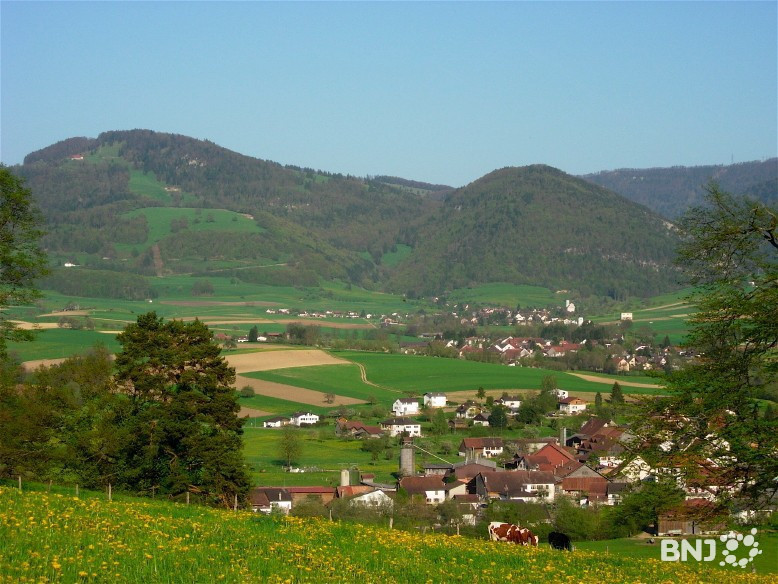 Les citoyens de Val Terbi se prononçaient ce dimanche en votation communale.  (Photo : archives)
