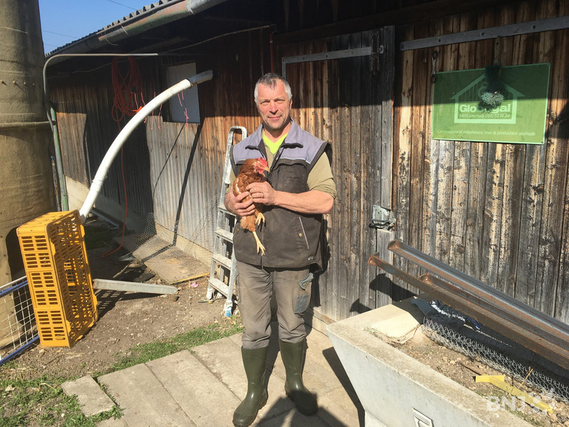  Philippe Joliat est agriculteur à Courfaivre et possède environ 400 poules. 