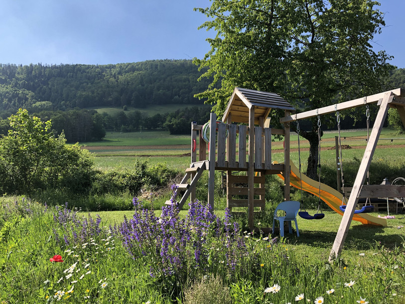 Le concours photo vise à valoriser la biodiversité dans les jardins comme dans le cas ci-dessus. (Photo: Jura.ch)