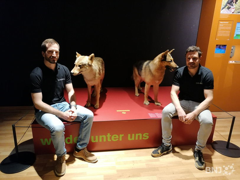 Florent Goetschi, médiateur scientifique, et Gaël Comment, responsable de la diffusion du savoir, sont fiers de présenter l'exposition « Entre chien et loup ».