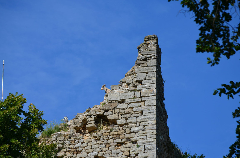 De nombreux vestiges castraux restent encore à découvrir dans la région. Ici, les ruines du château d'Asuel. (Photo : Jacques Bourquard)
