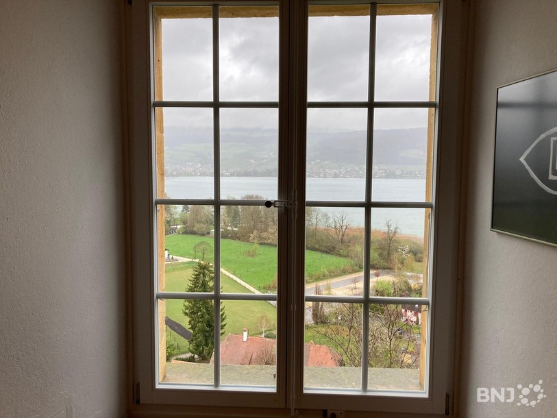 La vue sur le lac depuis le château d'Erlach.