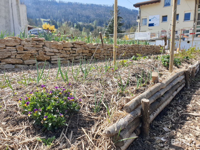 A la Résidence Les Sources, deux parcelles des jardins sont dédiées à la permaculture. L’une est plus expérimentale tandis que l’autre est plus productive.