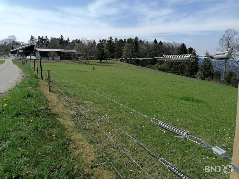 Une clôture électrifiée à cinq fils doit permettre de protéger les brebis de l'exploitation de Mont-Dedos à Undervelier contre le loup.