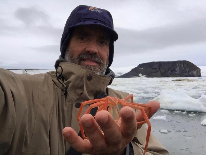 Milko Vuille lors de son expédition de 2015 dans l’archipel François-Joseph. Il pose avec l'araignée géante de mer décrite par Benjamin Leigh Smith en 1881. (Photo : Milko Vuille)