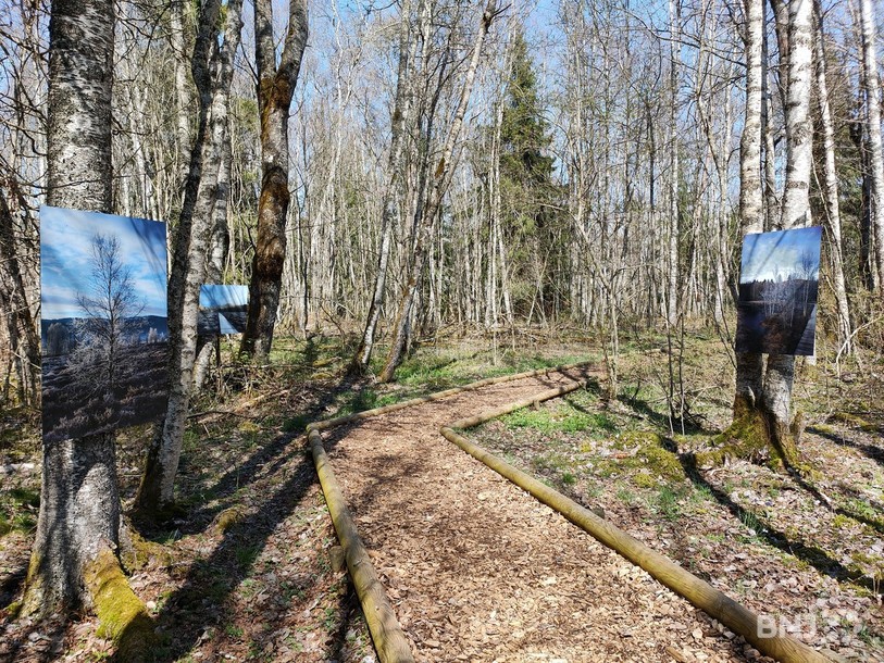 L'exposition du photo club Neuchâtel sera vernie samedi dans le cadre de Festi'Tourb le long du sentier de tourbières.
