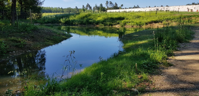 L’assainissement complémentaire doit permettre de protéger les eaux de la pollution. (Photo : bci Betriebs-AG)
