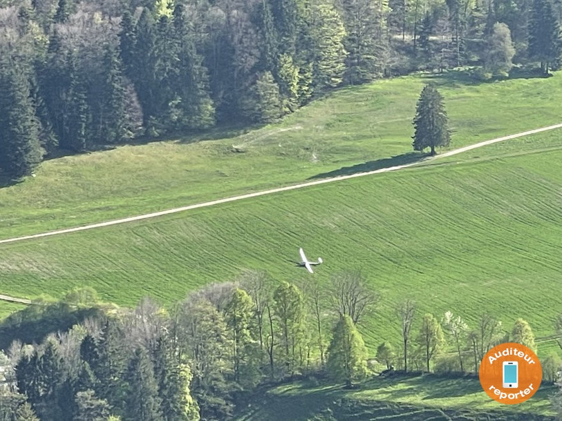 Un planeur a dû atterrir dans un champ à La Heutte.