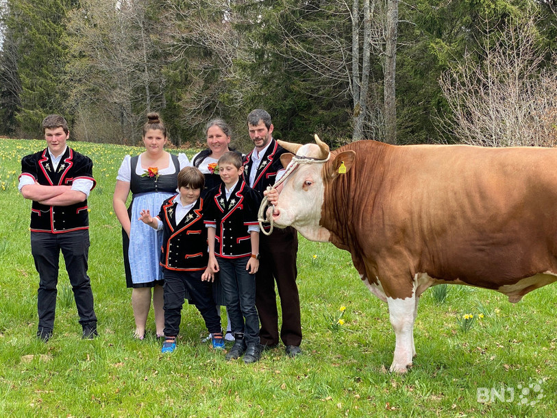 Le taureau Stefano, une tonne, sera remis au vainqueur de la fête. Il est proposé par l'exploitation de Frédéric Gilgen à Tavannes.