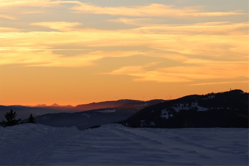 Photo prise lors d'une activité de la section prévôtoise des Amis de la Nature (photo: http://www.anmoutier.ch)