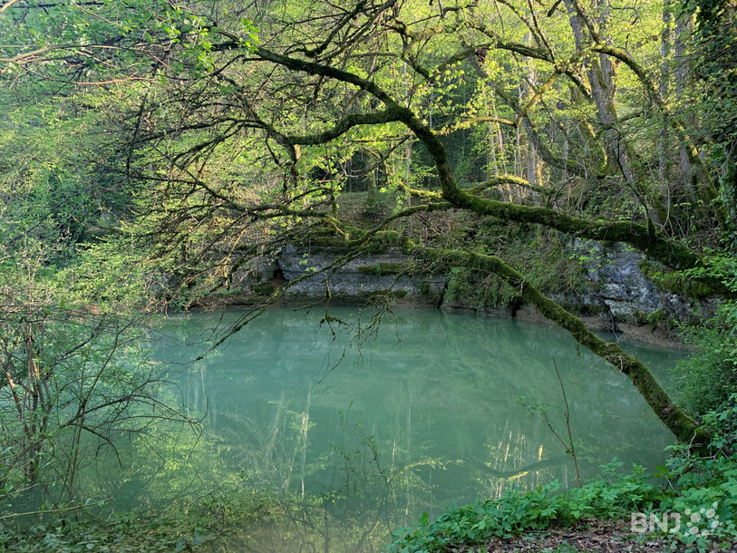 Le Trou du Creugenat rempli par les pluies, cela arrive plusieurs fois par an.