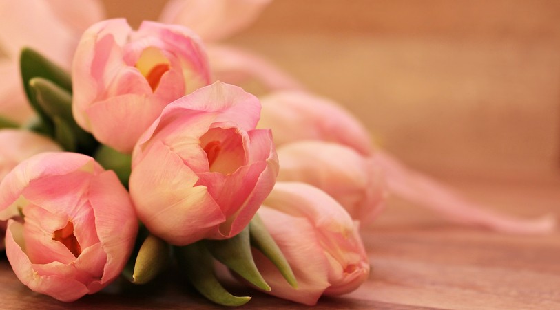 fleurs coupées