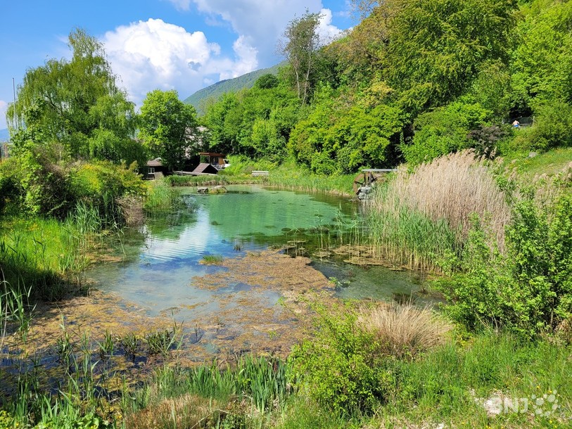 Le lac de Pieterlen, qui se retrouve sur les hauts de la commune.
