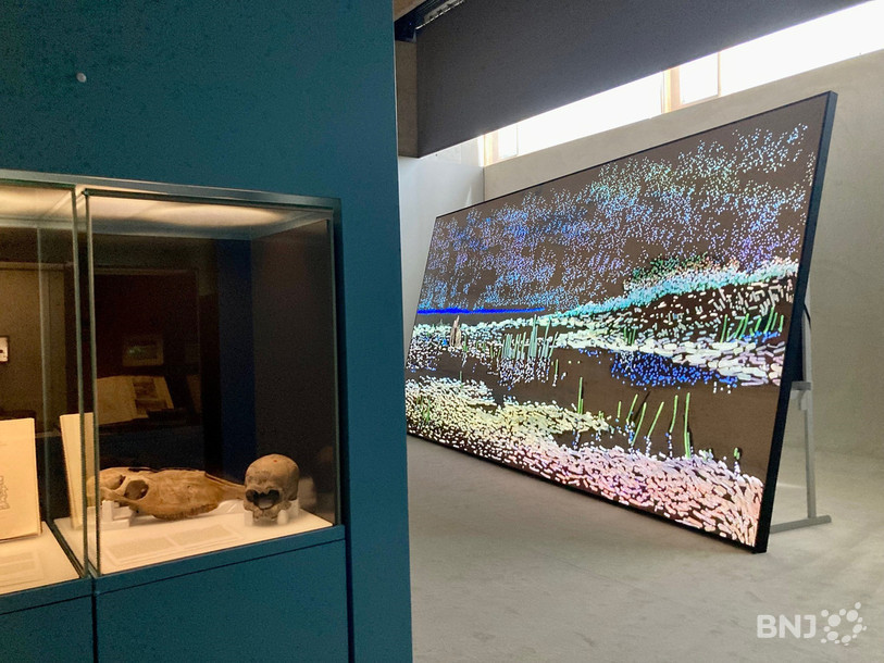 De nombreux objets exposés au Laténium ont été retrouvés au fond de l'eau.