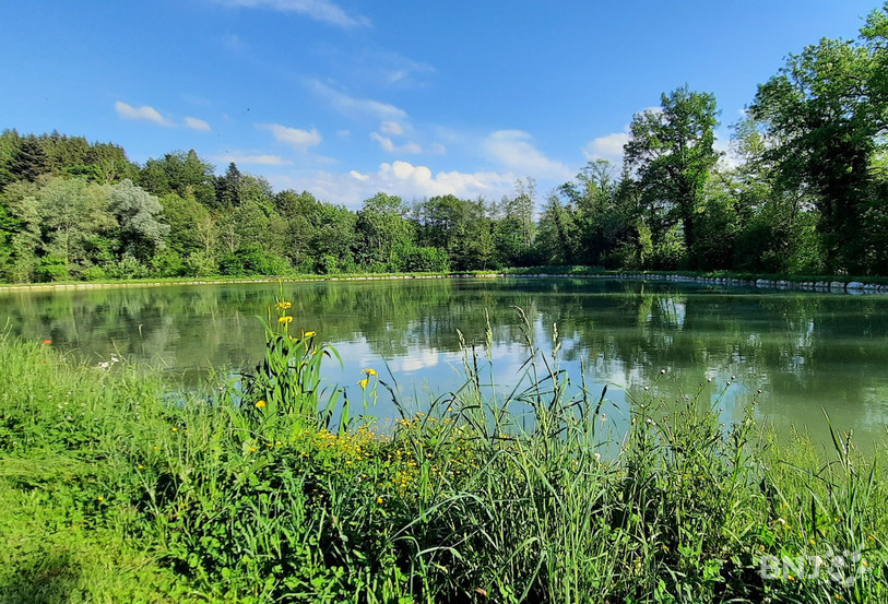 L'Etang des Lavoirs, lieu de tranquillité dans la Vallée.