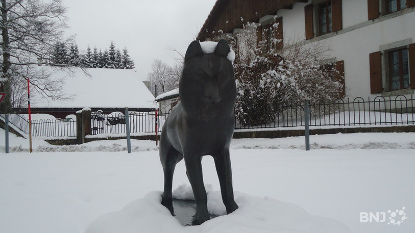 Le loup, sculpture en bronze offerte par Robert Hainard en 1988 à la commune des Bayards.