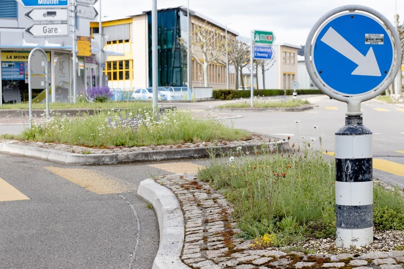 Un exemple d'aménagements favorables à la biodiversité à Delémont. (Photo: Jura.ch)