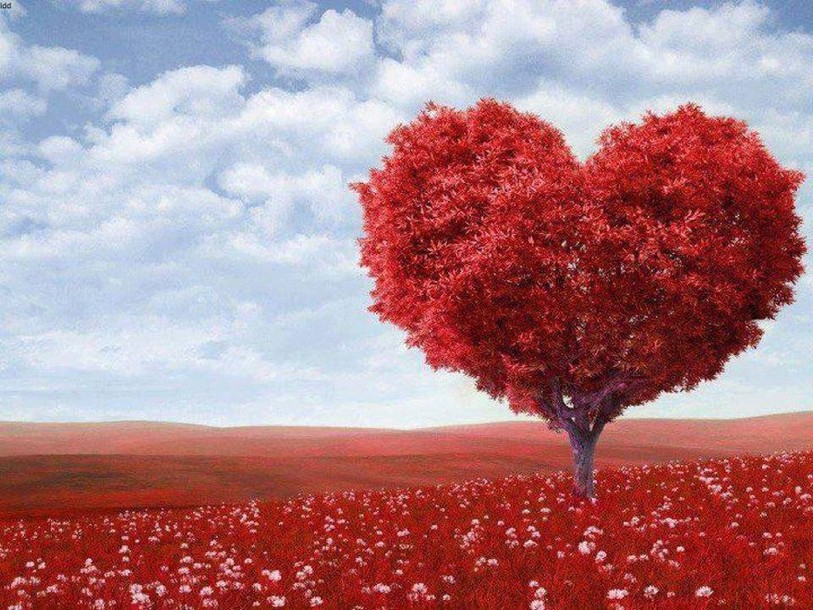 La Saint Valentin s'est l'occasion de s'interroger sur l'amour.