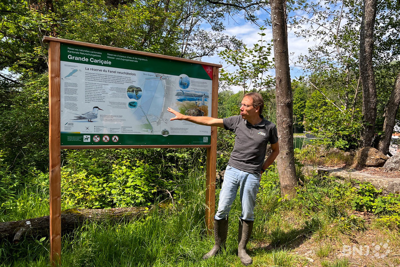 Michel Baudraz, directeur de l'Association de la Grande Cariçaie, présente le nouveau panneau didactique de la réserve du Fanel.