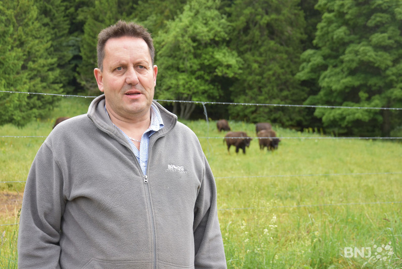 C’est à la suite de la chute du prix du litre de lait que Christian Lecomte décide en 1992 de diversifier son exploitation en élevant des bisons.