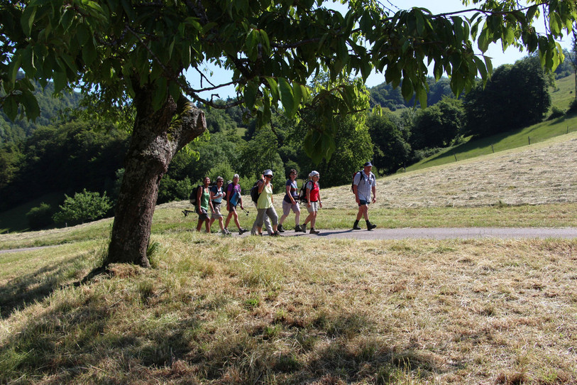 Jura Rando a notamment augmenté son nombre de randonnées accompagnées. (Photo : Jura Rando).