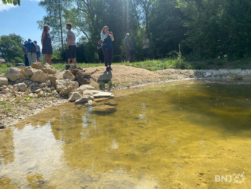 Un petit paradis de nature pour permettre au crapaud accoucheur de se reproduire en toute quiétude.