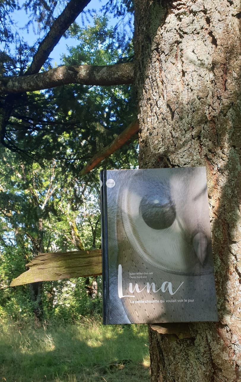 Luna, la petite chouette qui voulait voir le jour