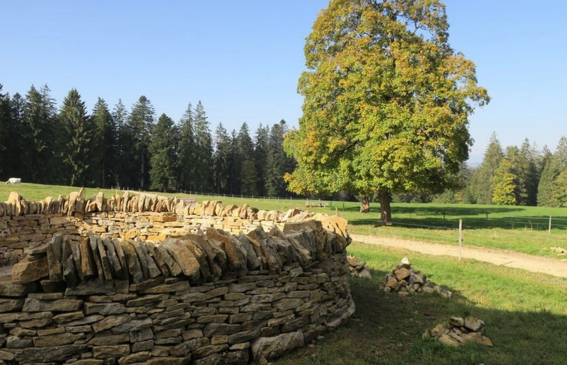 L'élégante construction a nécessité 250 heures de travail. (Photo : Pro Natura).