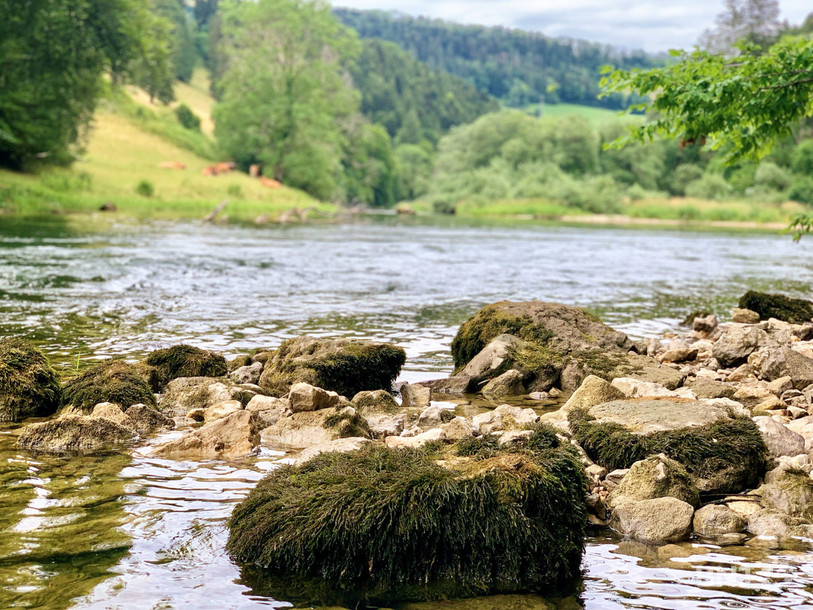 Plusieurs sites permettent de faire une pause, les pieds dans l'eau, le long du Doubs.