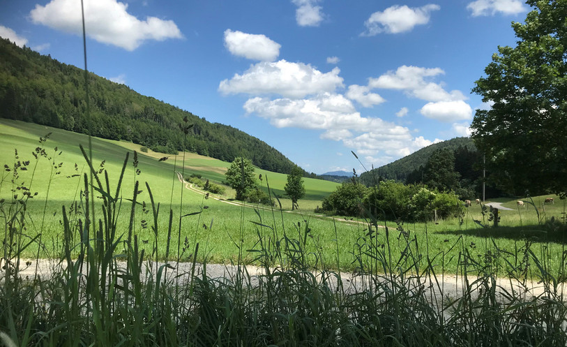 La fin de la Joux à Tramelan. (Photo: Raoul Voirol)