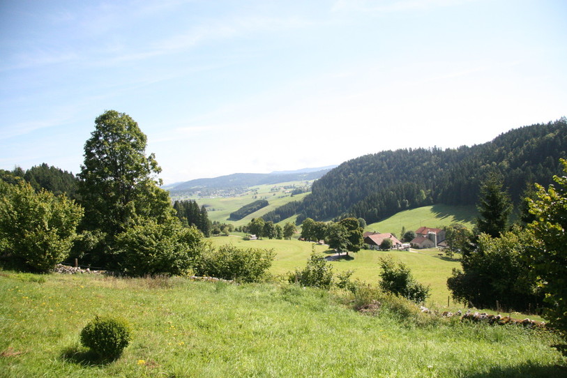 Le Parc du Doubs prévoit notamment des mesures pour préserver les pâturages boisés sur son territoire. (Photo : Parc du Doubs).