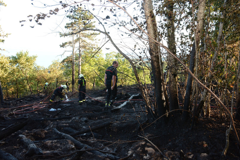 L'incendie a ravagé 2'800 m2 de forêt jeudi en fin d'après-midi dans les hauts de Neuchâtel. (Photo: Police neuchâteloise)