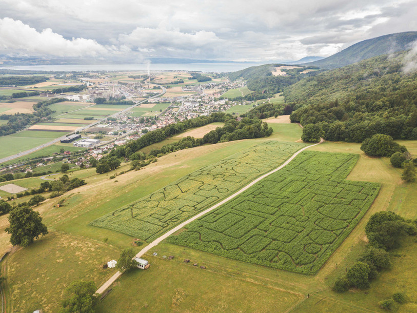 Le plus grand labyrinthe éphémère de Suisse est à parcourir jusqu'à fin septembre au Domaine de Bel-Air. (Photo : Domaine de Bel-Air)
