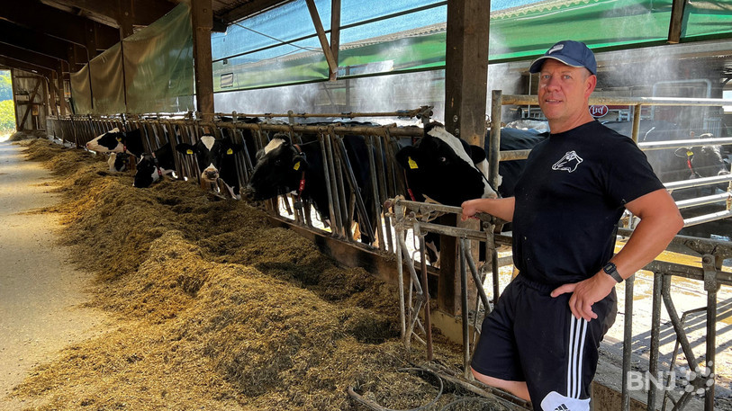 A l'ombre, sous les brumisateurs et ventilateurs, les vaches de Patrick Chételat tentent aussi d'échapper à la canicule.