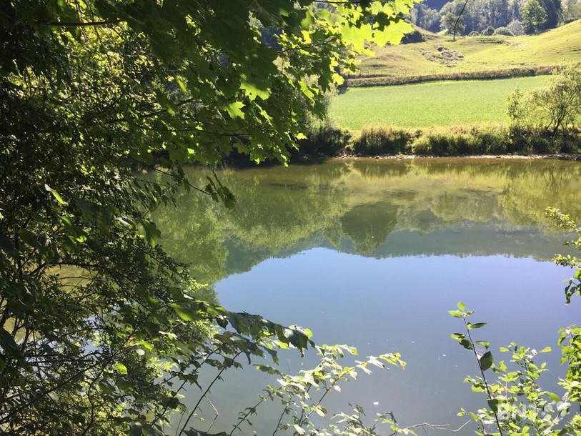 Le Doubs : une longue rivière très tranquille.