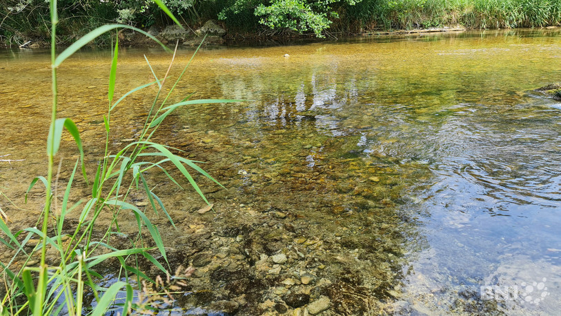 La rivière de la Suze s'assèche avec les fortes chaleurs.