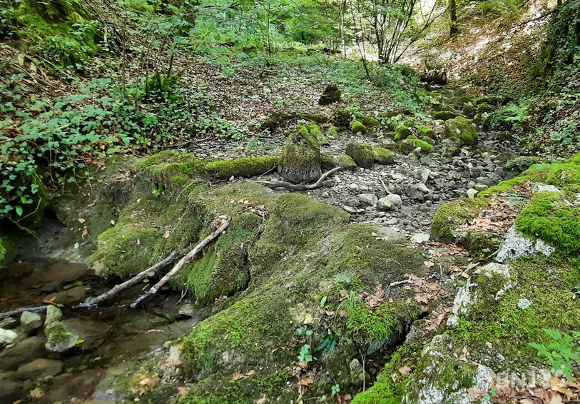 Plusieurs petits cours d'eau de la région sont asséchés, comme ici le Bé à Glovelier.