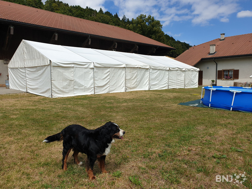 Les clients s’installeront entre la maison familiale et la ferme.