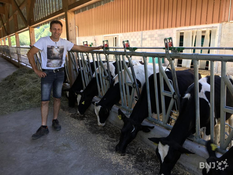 José Métille devant les futures vaches laitières du domaine de La Lomène.