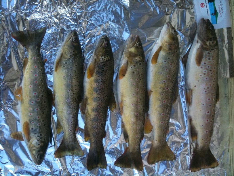 poissons