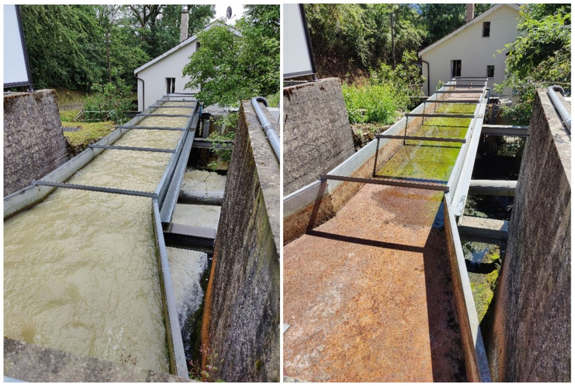 Le débit de la source de la Raissette (Cormoret) a considérablement baissé entre ce printemps et août. (Photo : Municipalité de St-Imier).