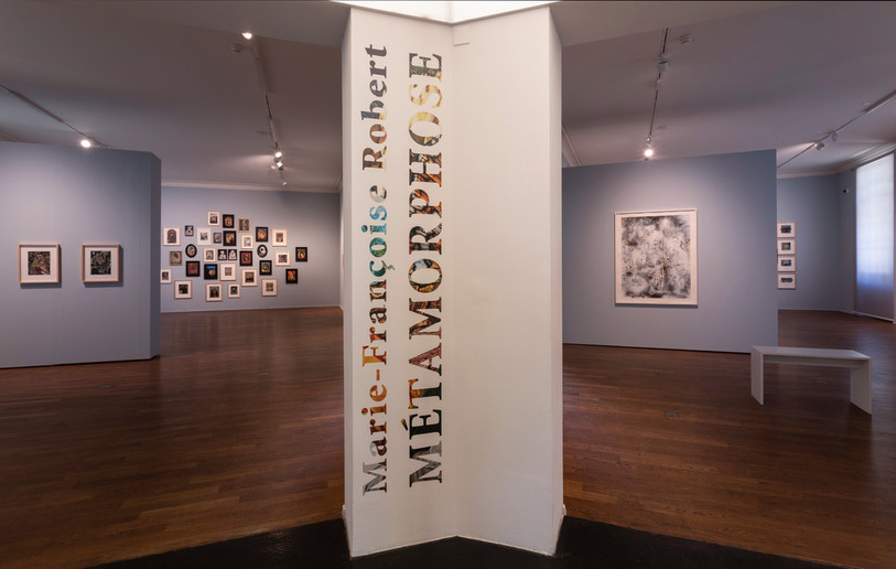 L'exposition « Métamorphose » présente 217 collages réalisés par Marie-Françoise Robert. (Photo: NMB © Patrick Weyeneth)