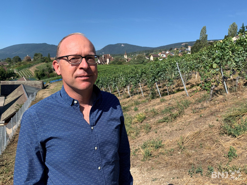 la vigne est habituée au climat méditerranéen, voire du Proche-Orient, d’où elle est originaire, explique Johannes Rösti, le directeur de la station viticole neuchâteloise. 