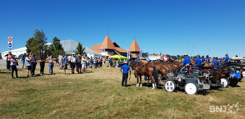 Les cavaliers et chevaux argoviens sont partis lundi de Aarau pour arriver ce vendredi à Saignelégier.